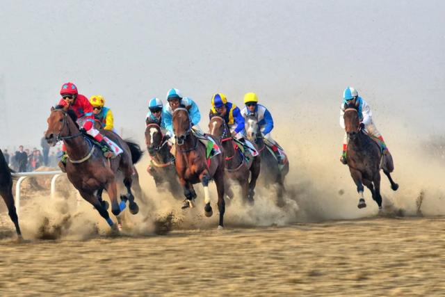 【走在前 挑大梁 非凡“十四五”】潍坊滨海文旅从“网红”到“长红”的进阶之路