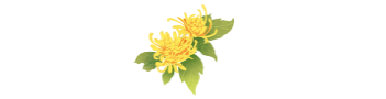 重阳节，在临沂这样过——9.9元景区特惠、赏菊、登高、祈福……