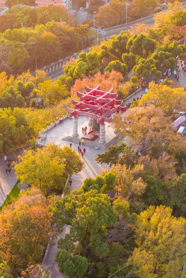 超级文旅日，黄鹤楼冬日福利上线！