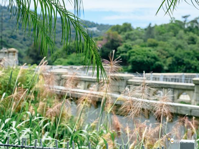 厦门上李水库公园游玩攻略，带你邂逅城市中的绿野仙踪