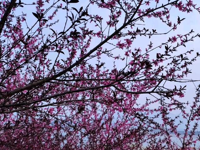 屈原故里（2021.3.15 宜昌·秭归）