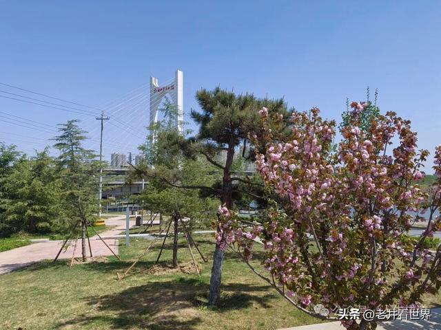 济宁的两处网红打卡地 || 胡成江