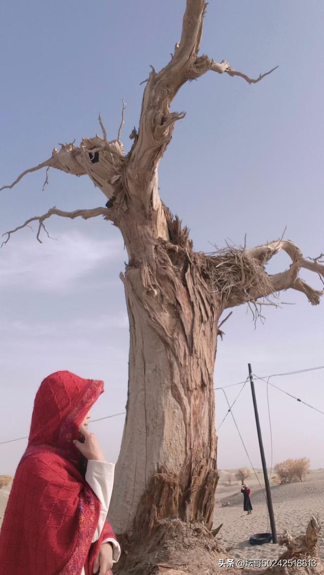 最美的风景在远方，走出去欣赏一下吧兄弟