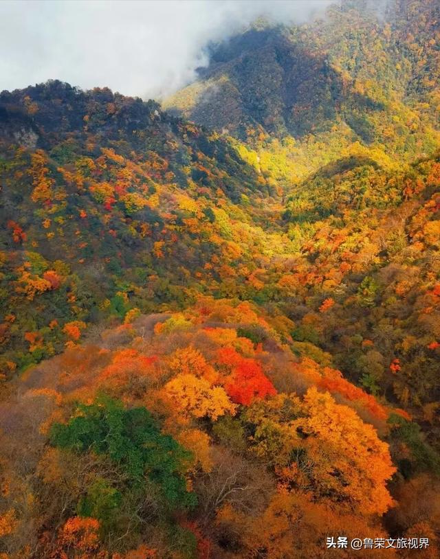 穿越米仓红枫，探秘巴山大峡谷：秦巴山脉里的秋日秘境与千年巴韵