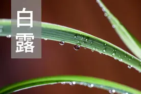 老话说“八月怕初五”，明日八月初五，究竟怕什么？民谚咋说的？图片