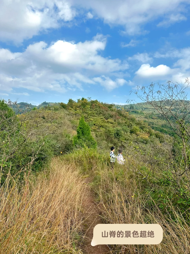 成都0.5h超小众亲子路线，登高望远摘果子，不走寻常路~