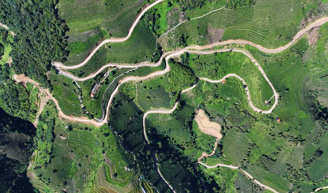 云南大姨被蜜蜂狂蜇，满脸蜂刺求助，过路司机惊呆，网友直呼惊险