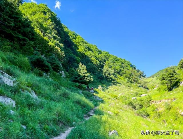 秦岭其他山头去不了，华阳草甸可以啊，一起去陕西版的阿勒泰吧！