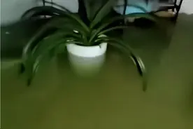 特大潮水袭击河北唐山，官方紧急回应，近几年最严重的一次！图片