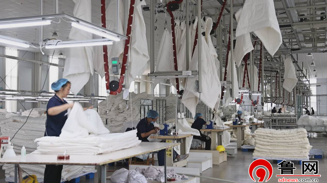 沿着黄河遇见海｜采访团走进齐鲁棉花博物馆：探秘从“籽棉”到“智纺”的现代产业升级之路