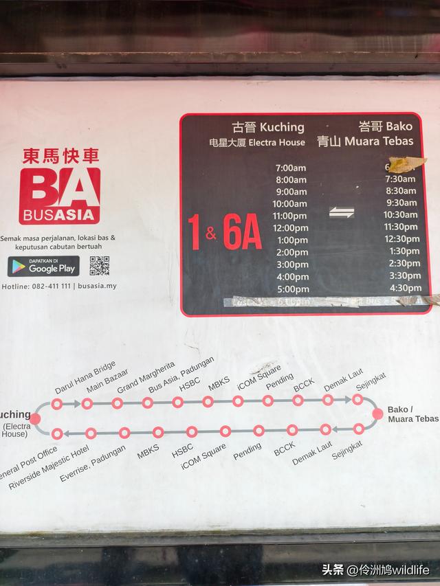 马来西亚(35)砂拉越州⑨峇哥国家公园徒步线路