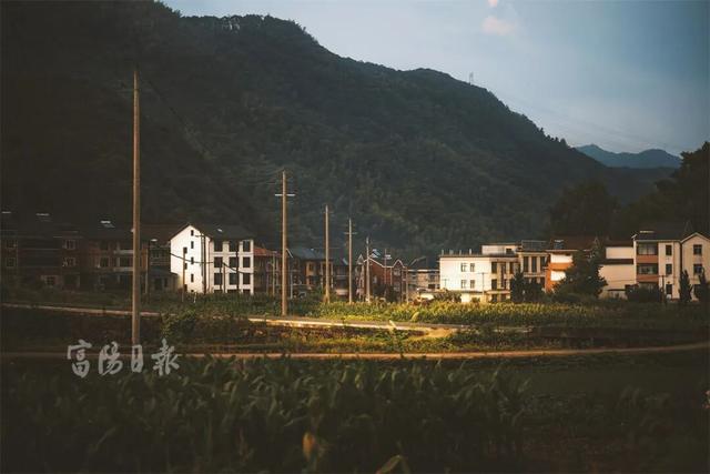 绝了！富阳这条公路，颜值爆表！是时候出动了！