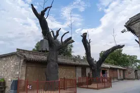 百万访客追寻红色记忆：冉庄地道战，永不磨灭的抗战智慧图片