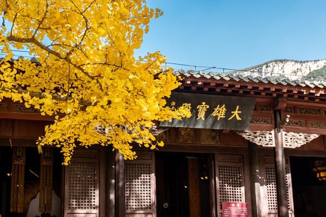 不藏了，济南5个红叶仙 境，最后一个美到词穷！