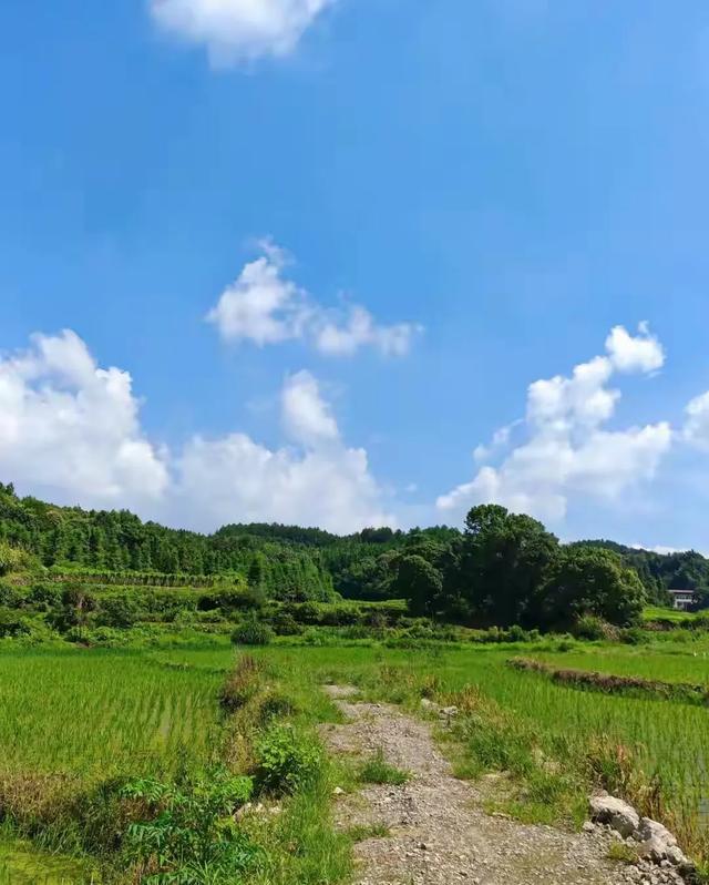 农村迎来新机遇！安徽最新建设方案公布