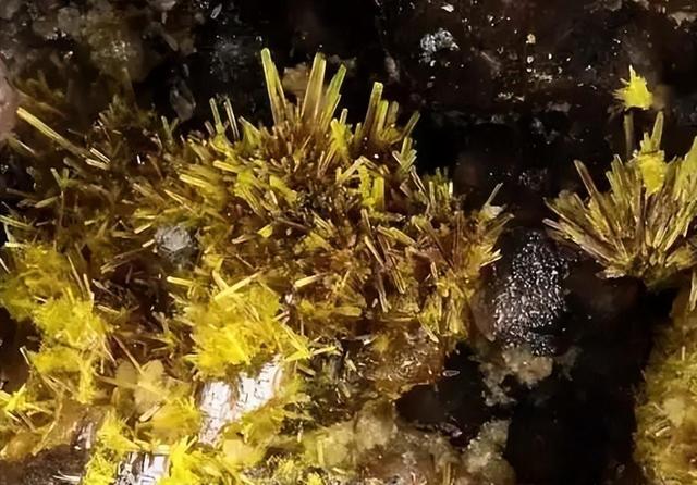 赚麻了！油田和煤田下居然有铀！中国终于摘掉了“贫铀”的帽子