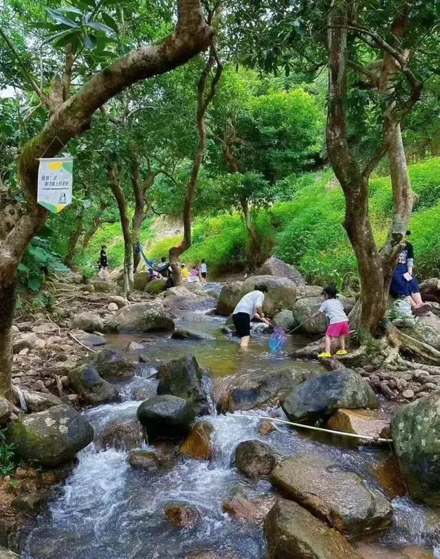 避暑留坝：山居小记