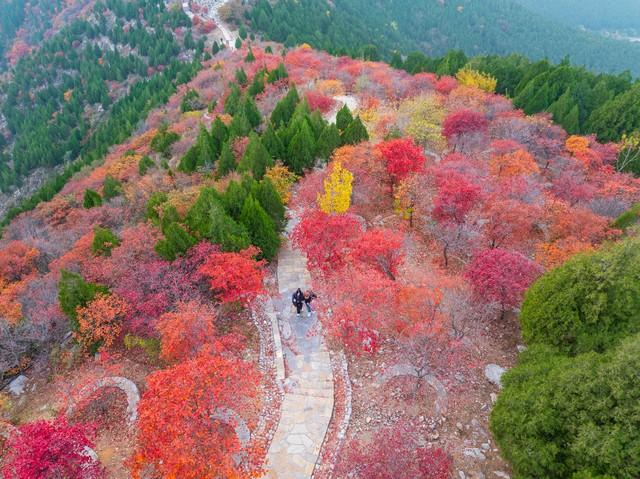 不藏了，济南5个红叶仙 境，最后一个美到词穷！