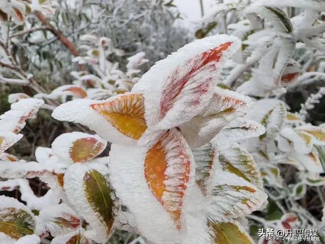 探寻天景山冰雪之旅,体验闽赣之巅!