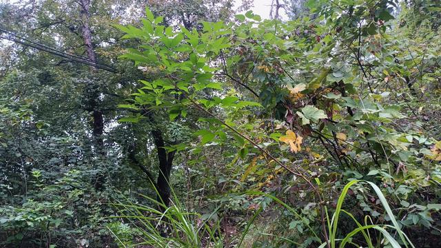 两性关系，50岁后的女人不怕你占便宜，就怕你做到这一步