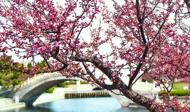 情人走到这一步就是缘分将尽的信号！