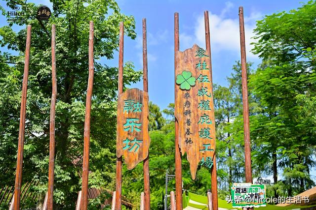 顺德亲子游 | 住进奥特曼主题房，体验趣味之旅