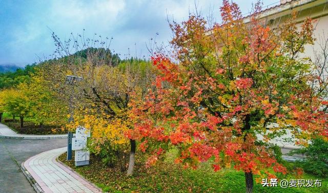 【东方微笑 多彩麦积】摄影师看麦积 | 和谐园里风光如诗画（上）