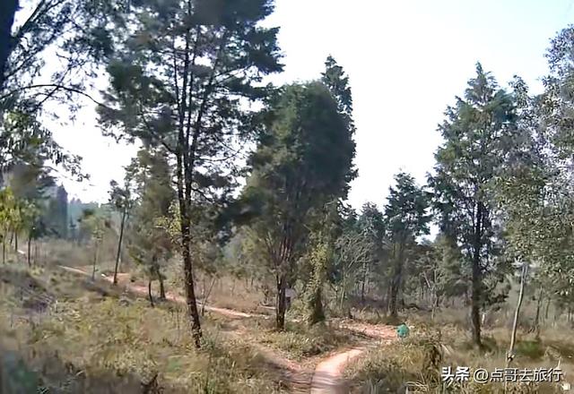 成都龙泉山爆红徒步路线，享受超级梭梭板，大人小孩都喜欢！