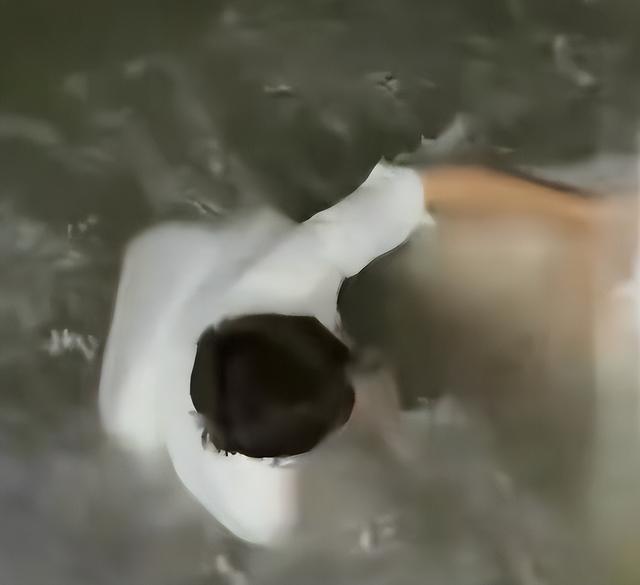 杭州男子救人！遭被救女子举报，原因曝光，男子反被骂，细节披露