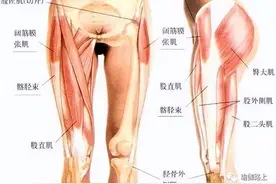 瑜伽「坐角式」大腿怎么用力？光知道大腿外旋是不够的！图片