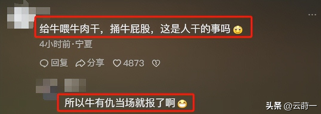 游客徒步遭牛群踩踏后续：景区回应，真相曝光后，网友直呼太活该