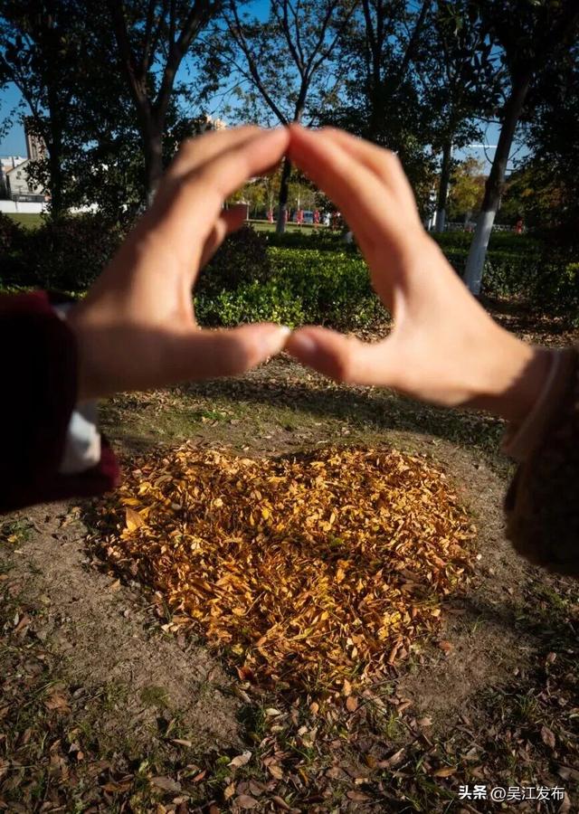 周末去打卡丨来吴江，“捡秋”！