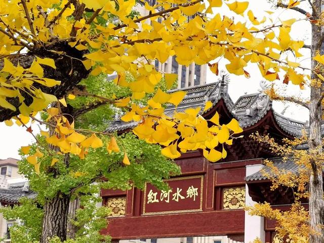 弥勒这个老牌公园上央视啦！好多人的记忆→