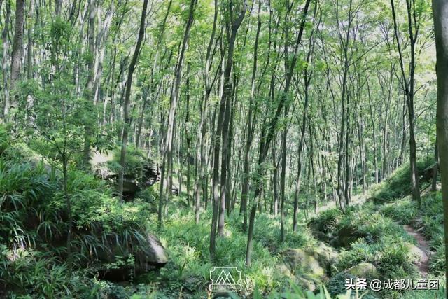 山河成都 | 数一数我们一起爬过的山蹚过的河，秋天继续出发！