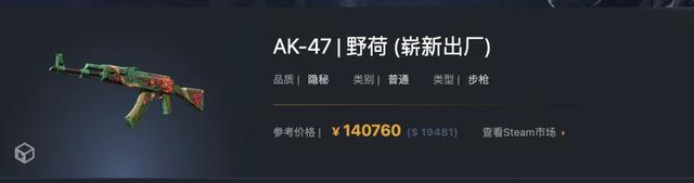瓦学弟和go学长，吵着吵着就亲上了