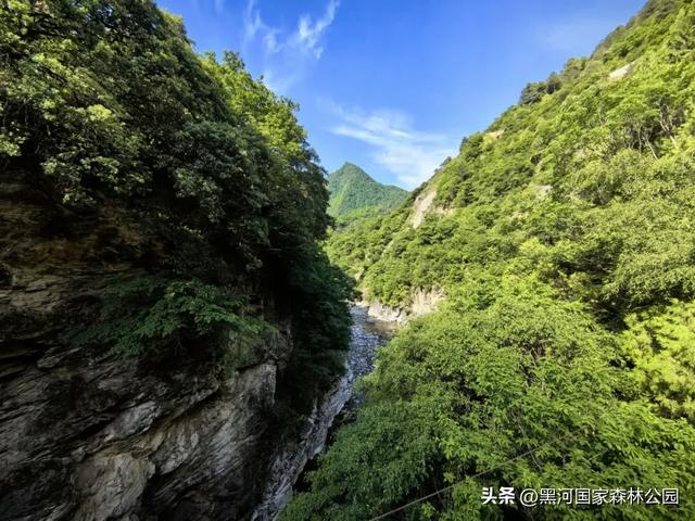 三伏天避暑新体验，这几处宝藏景点凉气十足！
