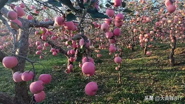 认识大美河南的每个县——第11波：洛宁