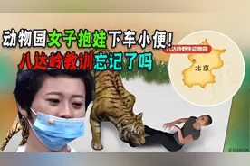 动物园女子私自带娃下车小便，险被狼吃！八达岭老虎教训不知道吗图片