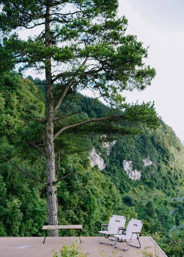 14个免费公园遛娃全攻略：看猴、玩水、露营、徒步一次集齐！速藏