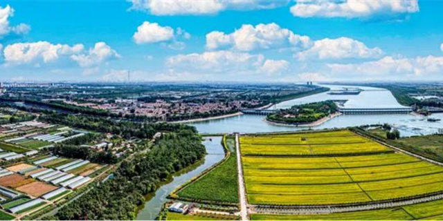 跑游西青！2025西青区半程马拉松住宿+游玩线路福利和攻略来了！