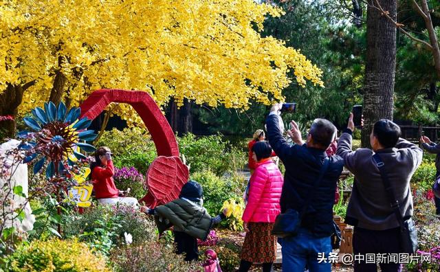 香山红叶节圆满落幕 接待游客超过85万人次