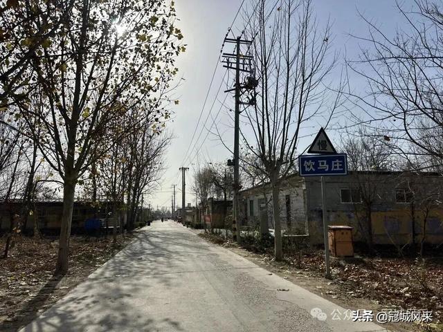 冠县乡韵·辛集镇饮马庄