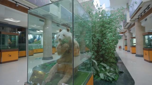 浪浪山外有佛坪,吹过的风都带着自在