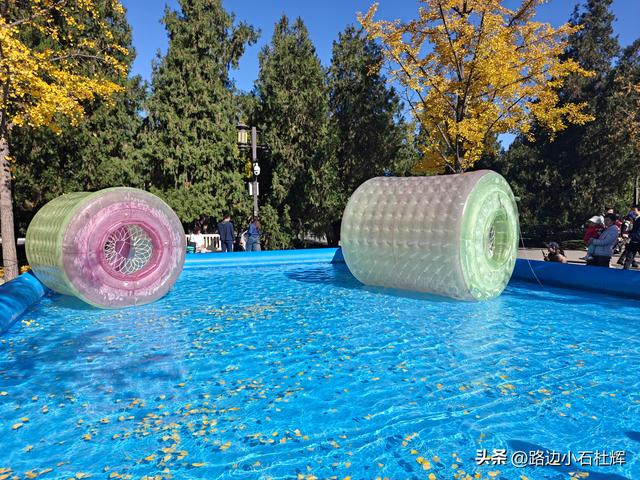 昔日皇家祭坛，今日大众踏秋——地坛秋日赏银杏