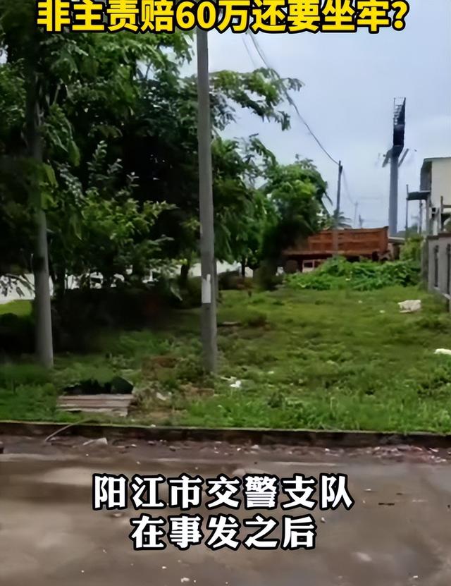 95岁老人被撞后3个月去世，司机赔偿60万还获刑1年2个月，法院：量刑不当，要再审！