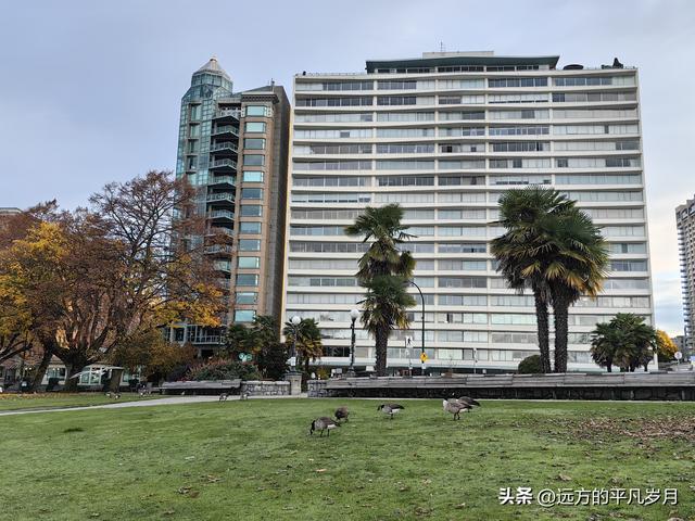 温哥华游记（一）