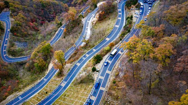 山道弯弯秋色浓