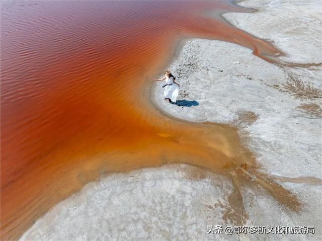 大地的笔触：在杭锦旗遇见哈日芒乃淖的“生命之树”