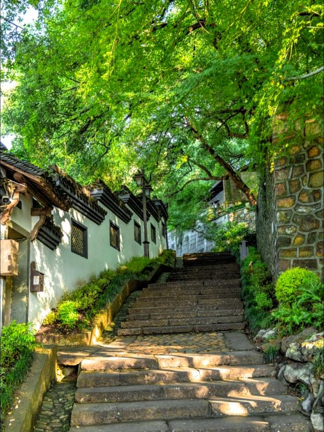 大量法国游客涌入杭州，打着旅游幌子不去旅游不吃美食，为啥来？