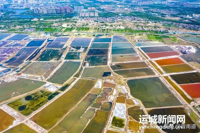 外交部发言人向全球“种草”！运城“悬浮天路”惊艳海内外！